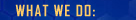 What We Do: