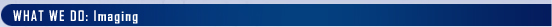 Title Bar - Contact